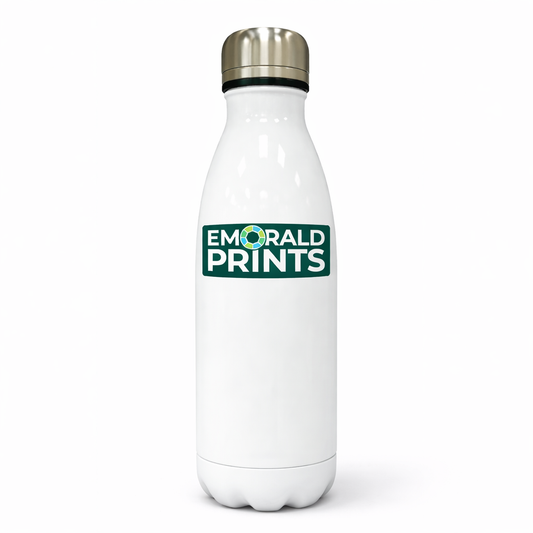 Stainless Steel Bottle